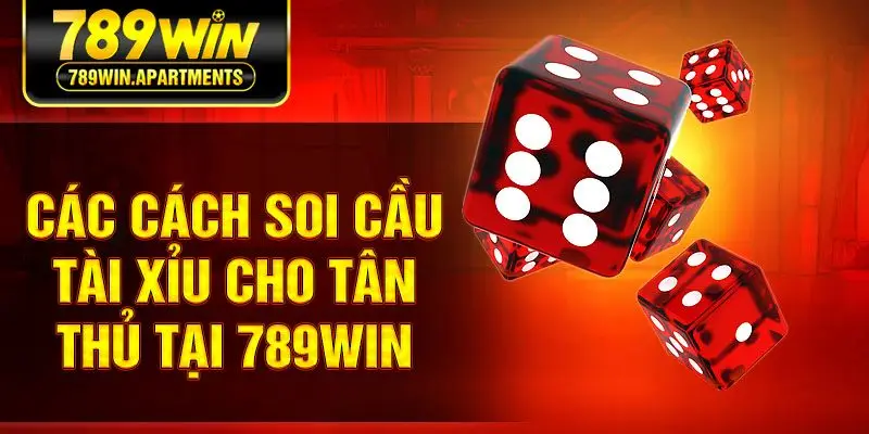 Các cách soi cầu tài xỉu cho tân thủ tại 789win