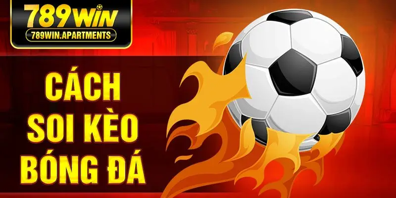 Cách Soi Kèo Bóng Đá Chính Xác Của Các Cao Thủ Tại 789Win